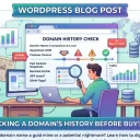 check a domain's history